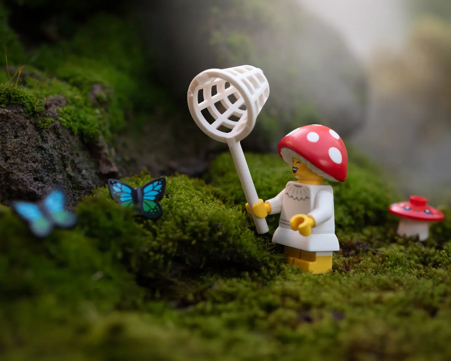 Butterfly hunt