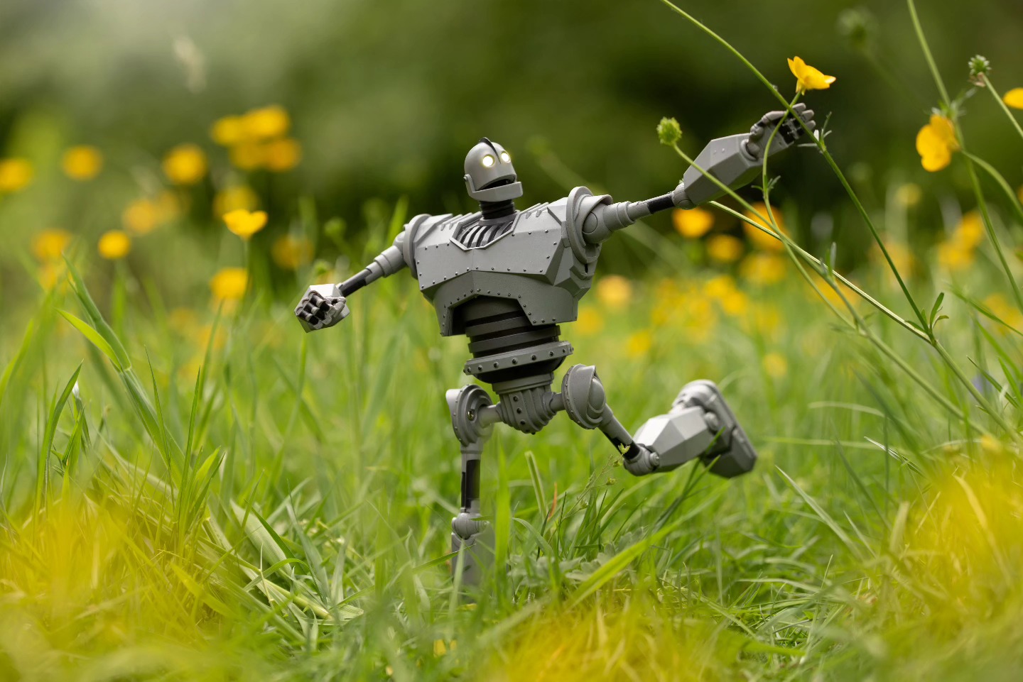 Many eyes go through the meadow, but few see the flowers in it! ~Ralph Waldo Emerson