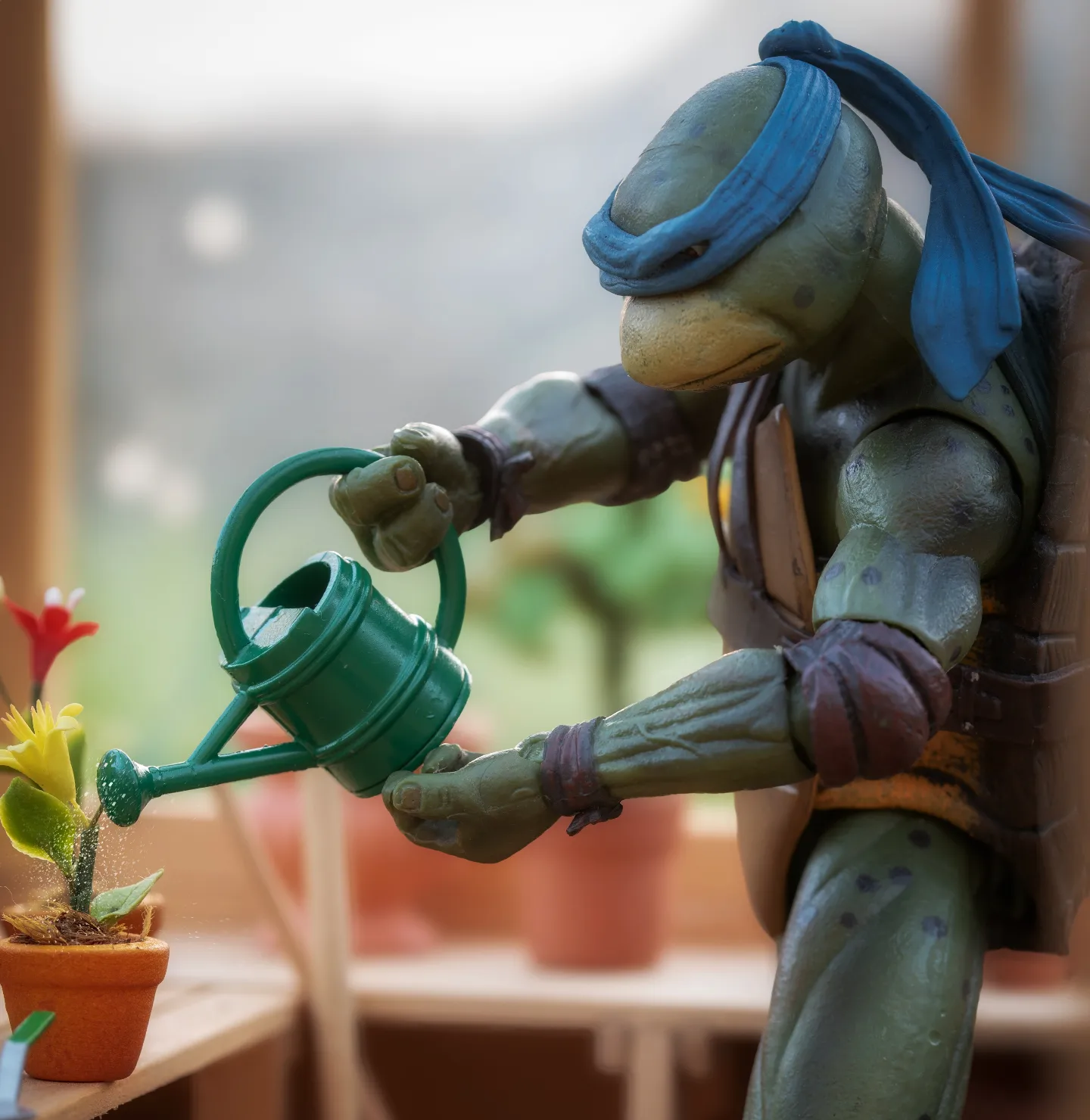 We all need a hobby right? Leo loves a bit of horticulture