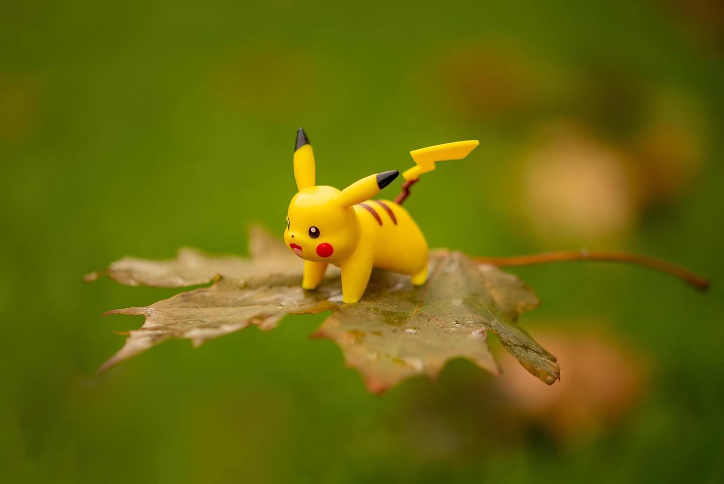 Pikachu learning how to to surf the air, prepping for his evolution into Raichu