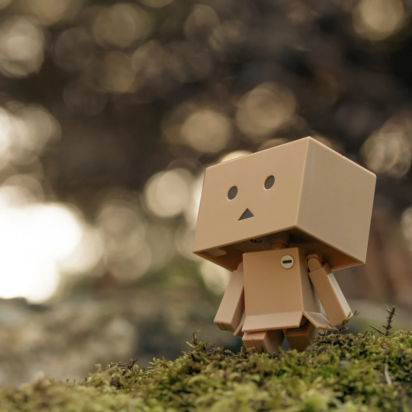 Cardboard Carl is out on another mini adventure