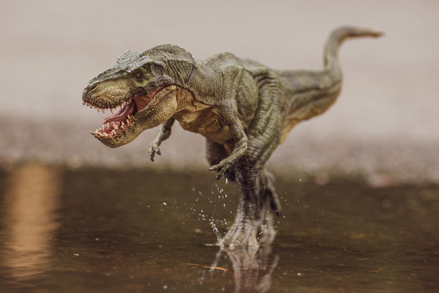 t-rex on the loose