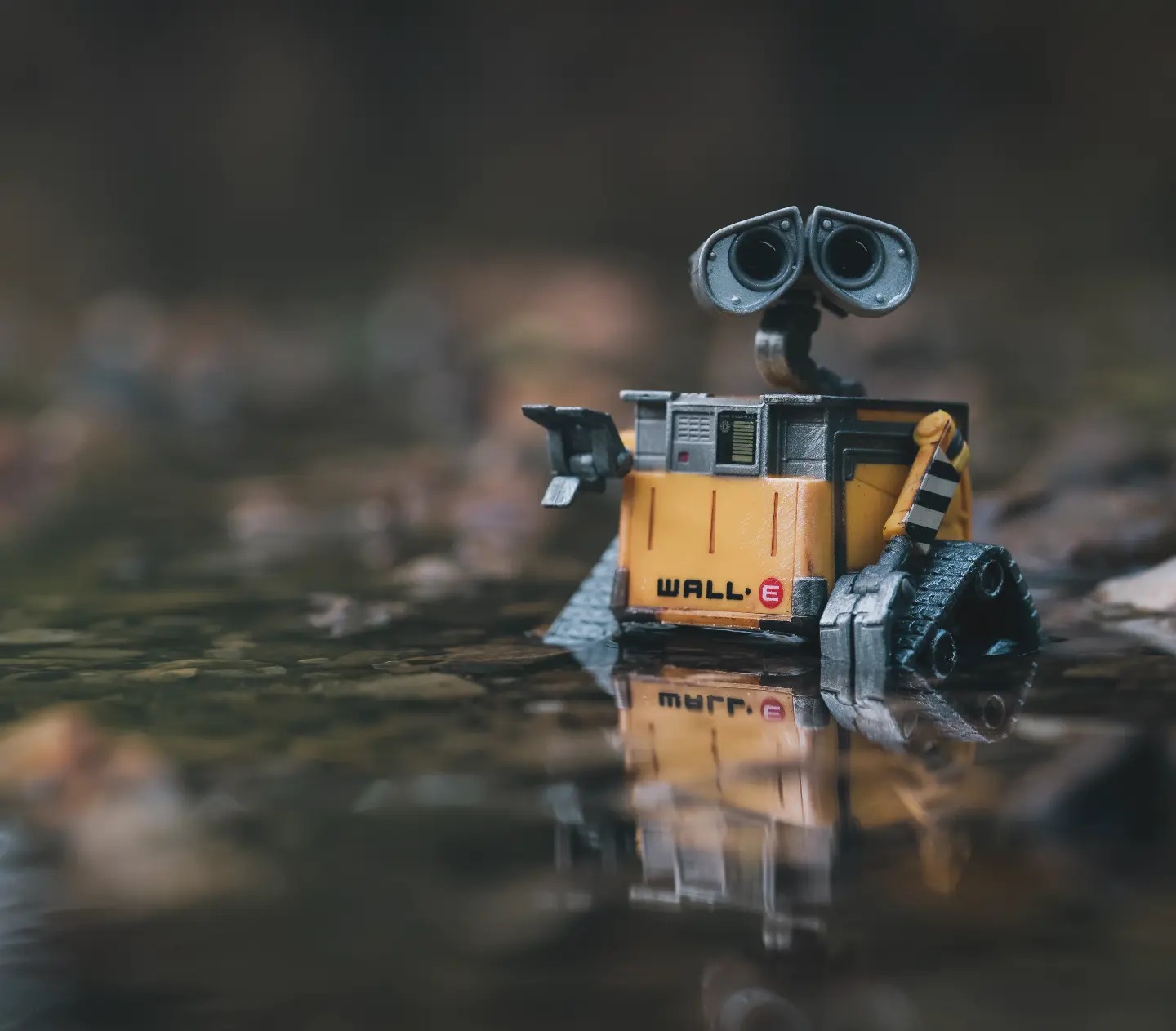 Wall-e has found a water source, so near water there must be......!?!