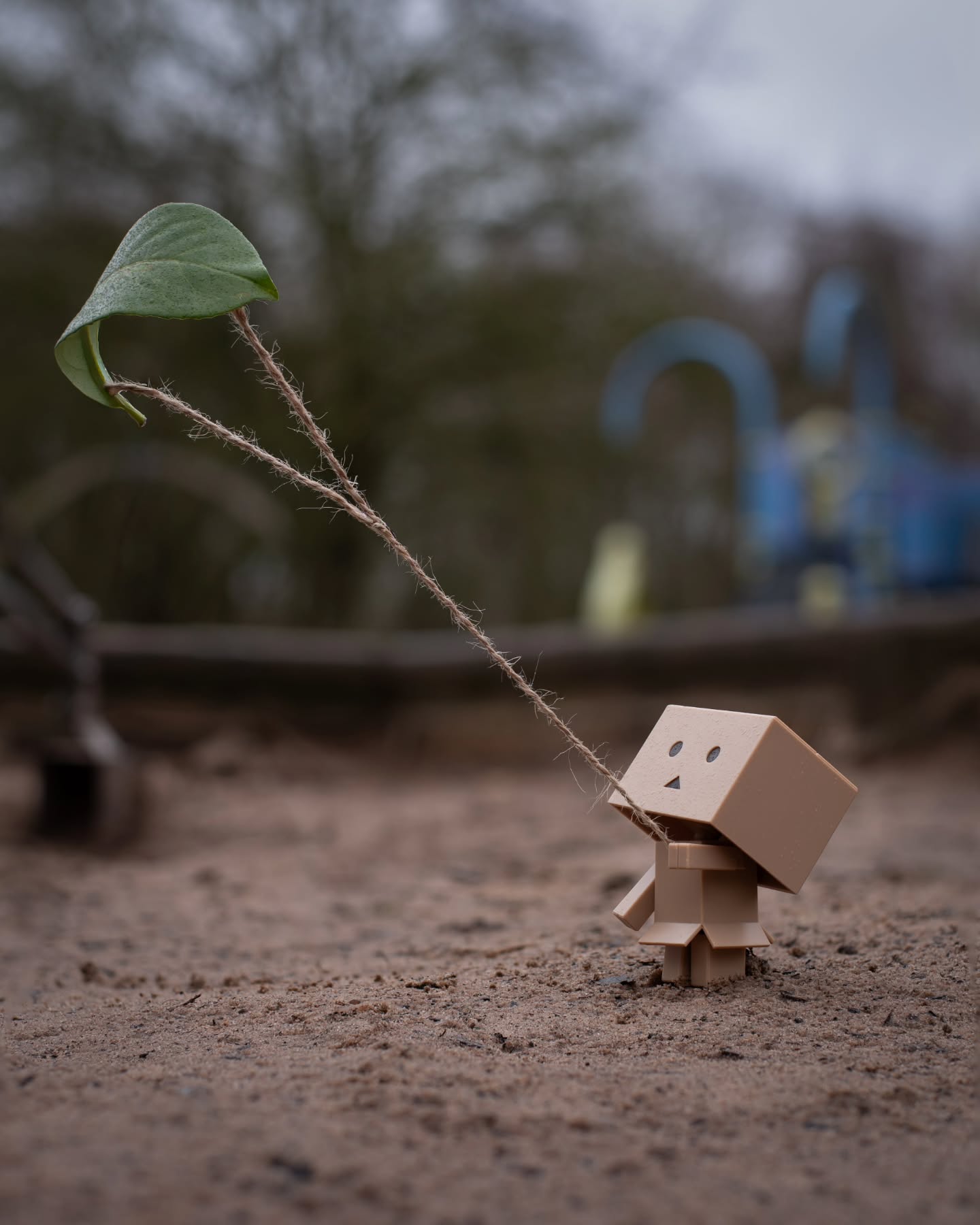 "Imagination is the highest kite one can fly"