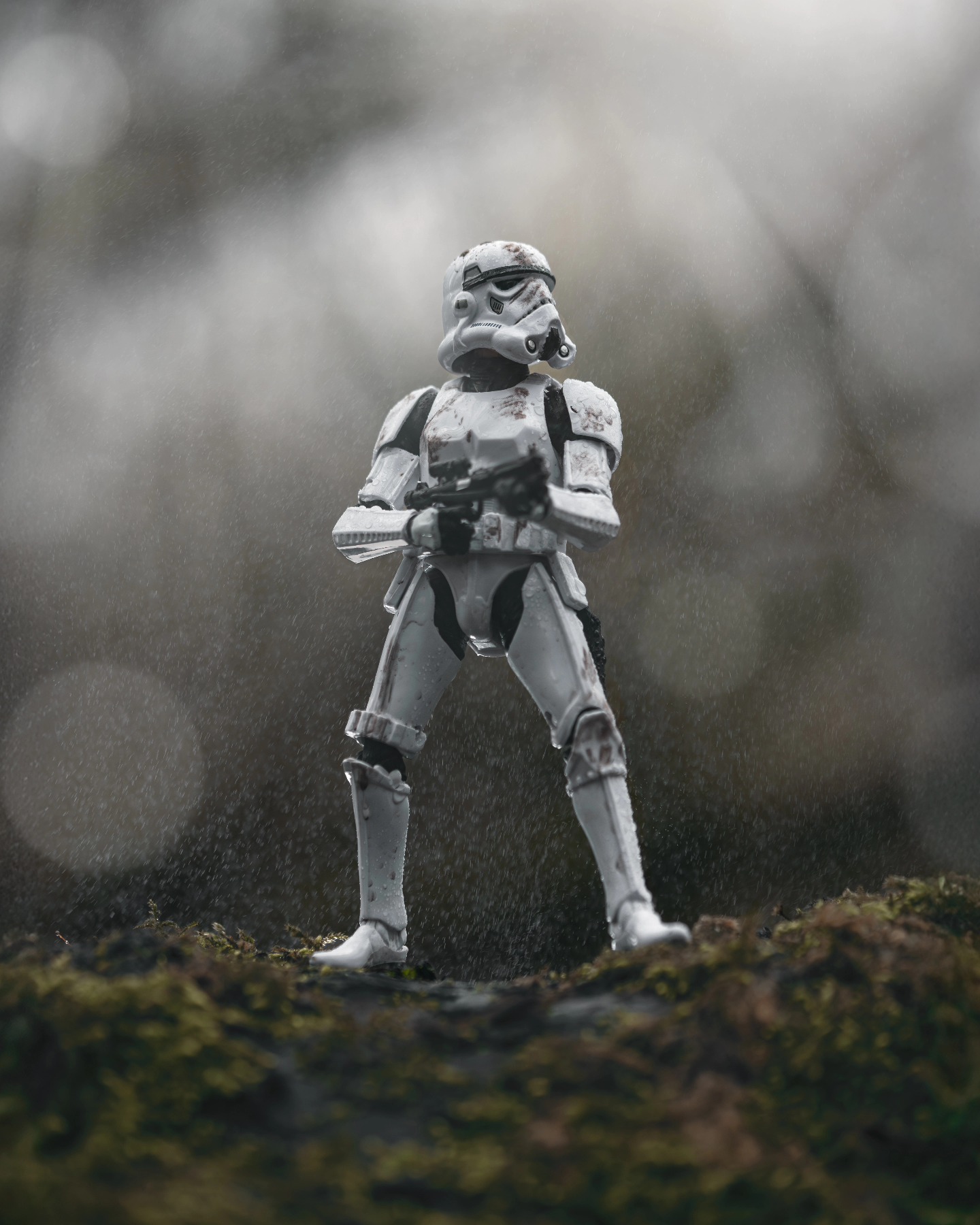 The hunt on Dagobah for Yoda continues