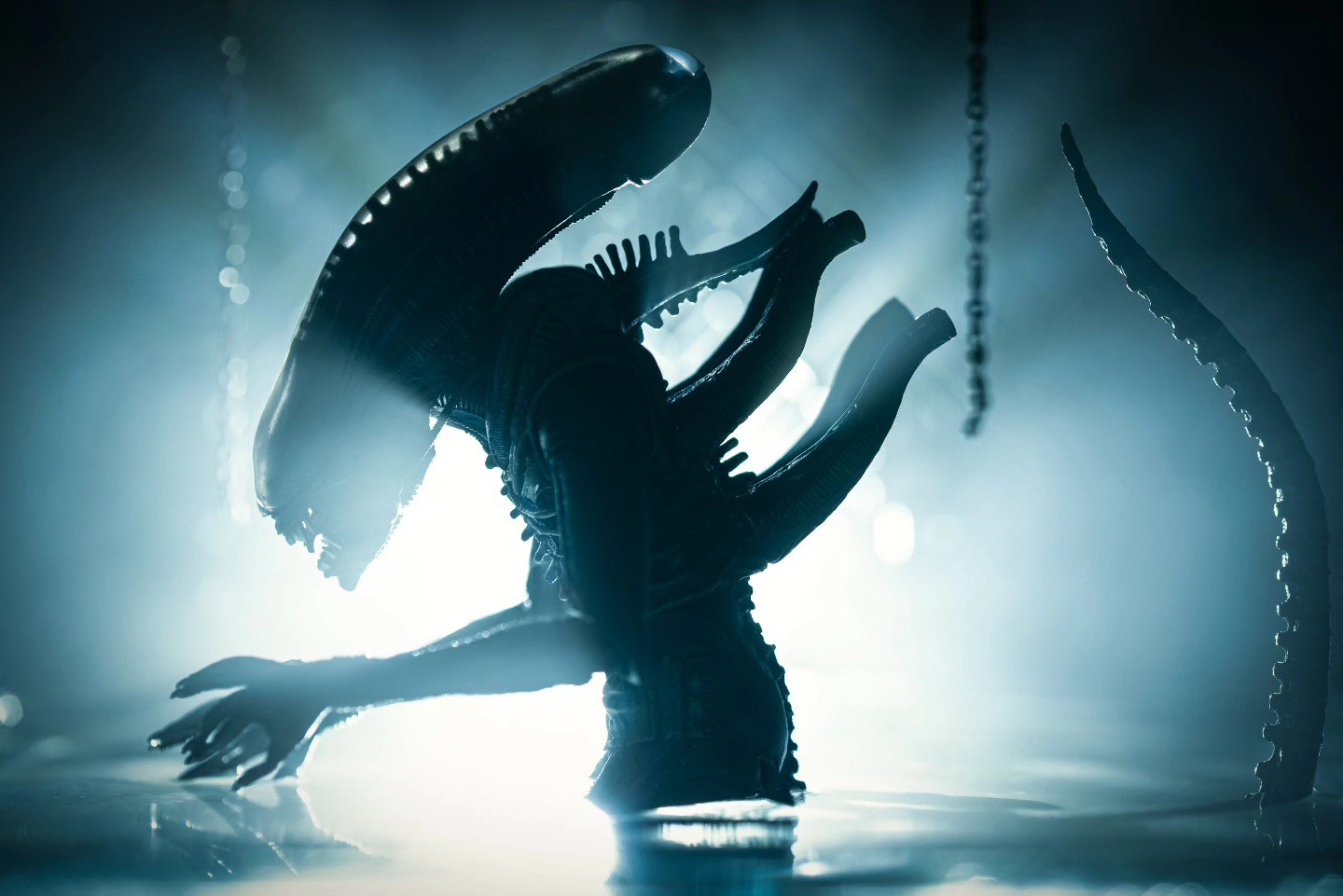 "In space, no one can hear you scream."