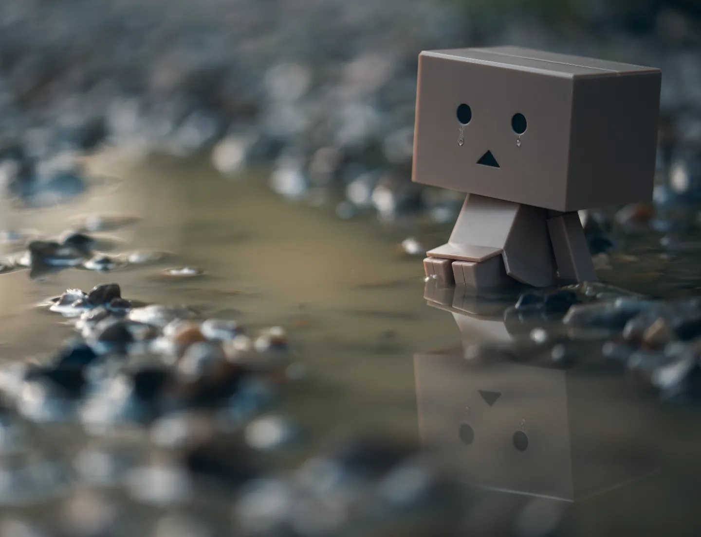 "Sometimes you need to be alone and let your tears out"