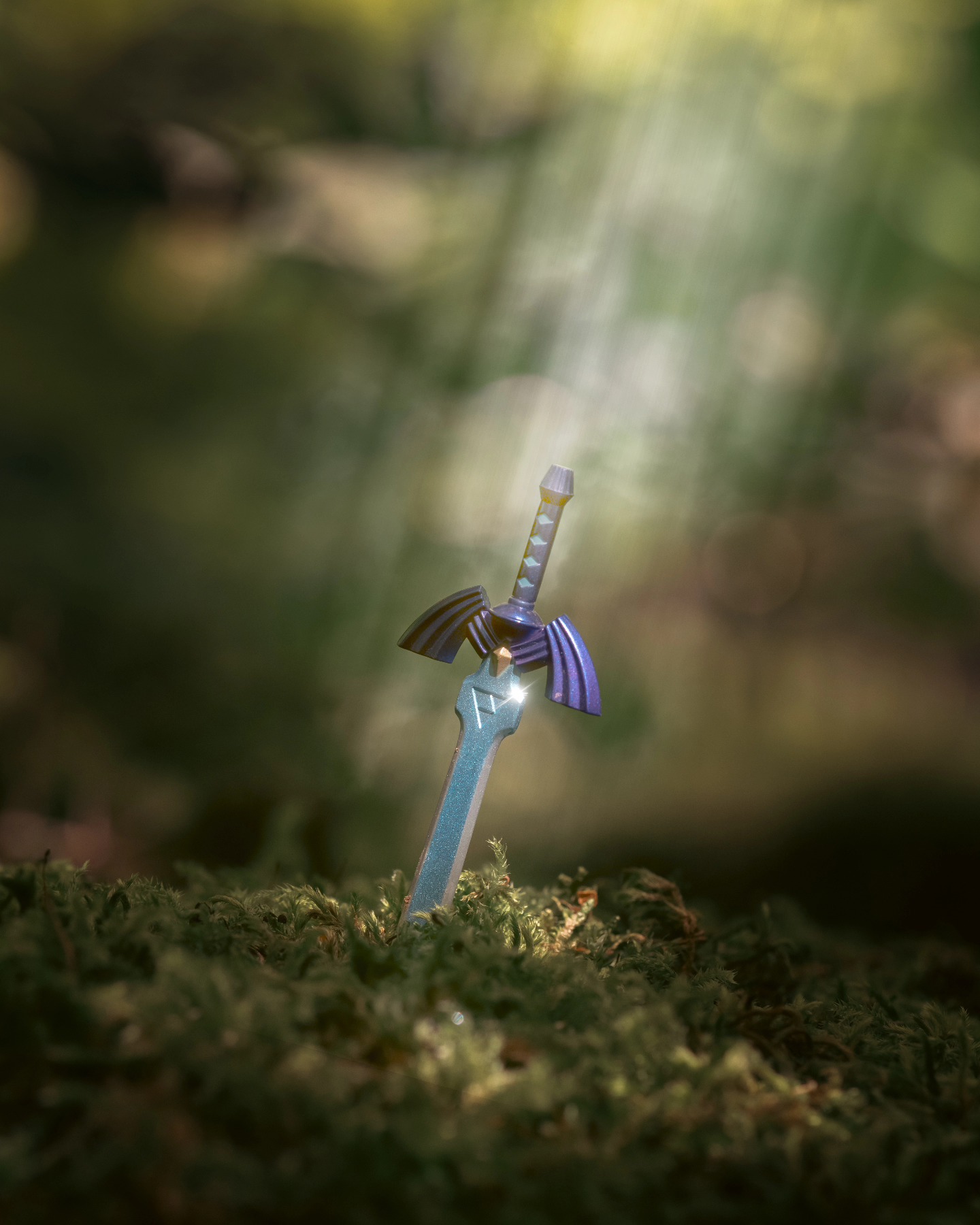 You found the master sword!!