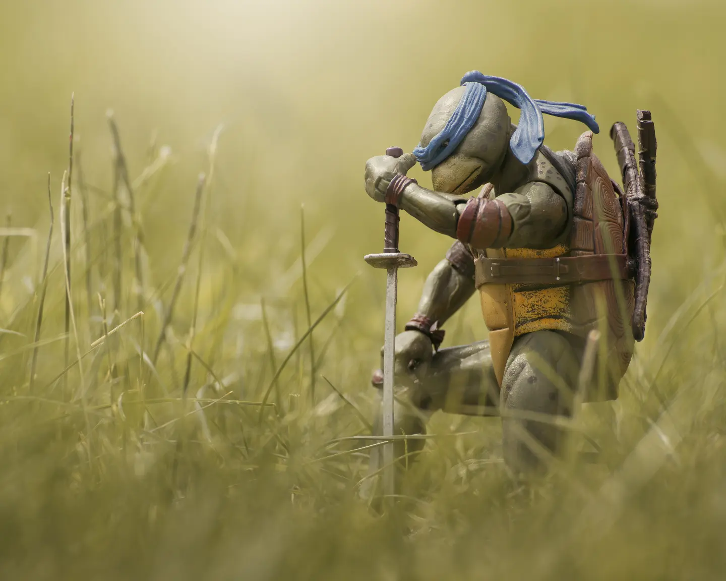"Im sorry father, i have failed you!" The last ronin. I know it was revealed that Mikey was revealed to be the