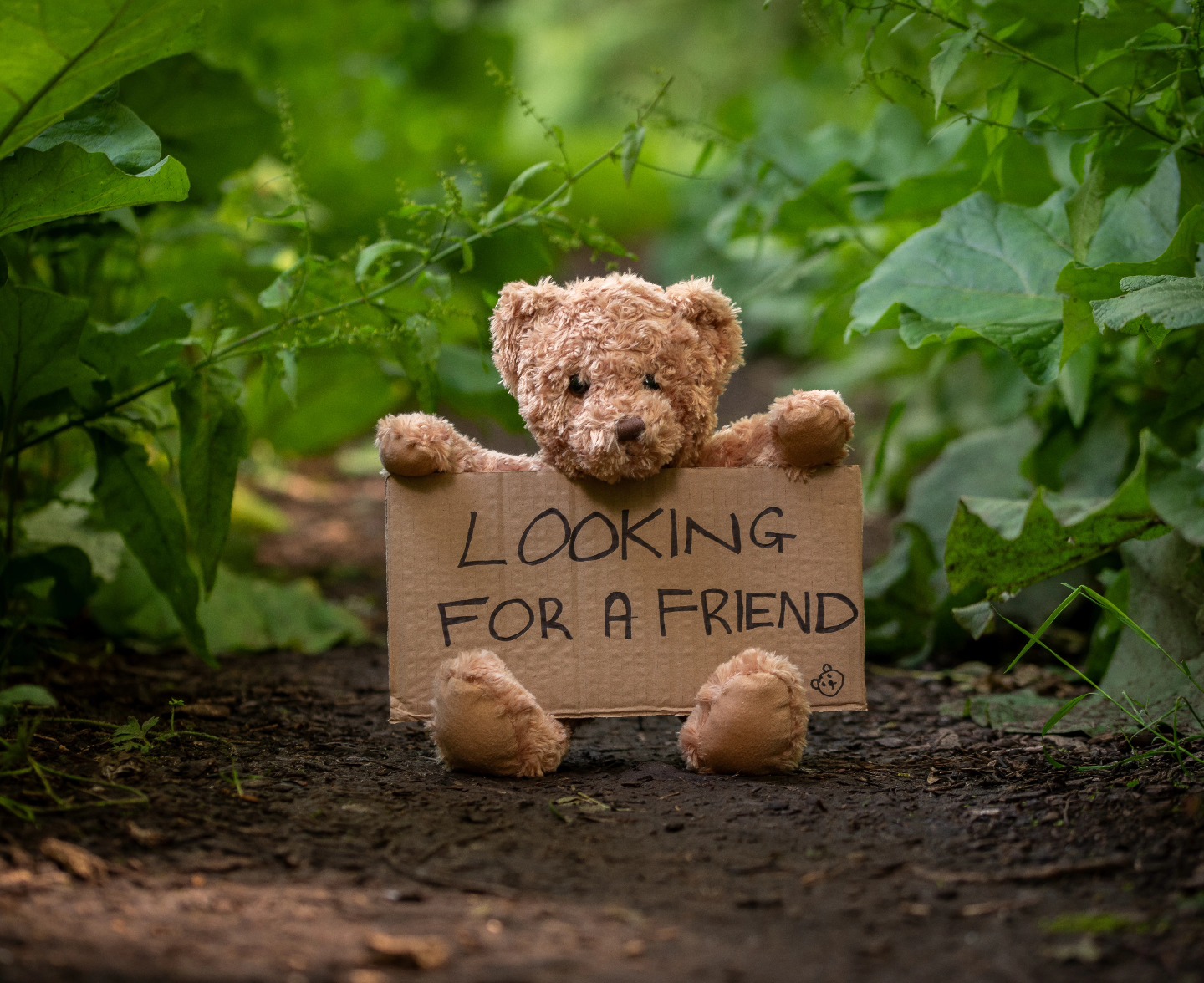 “A friend is one of the nicest things you can have, and one of the best things you can be.”