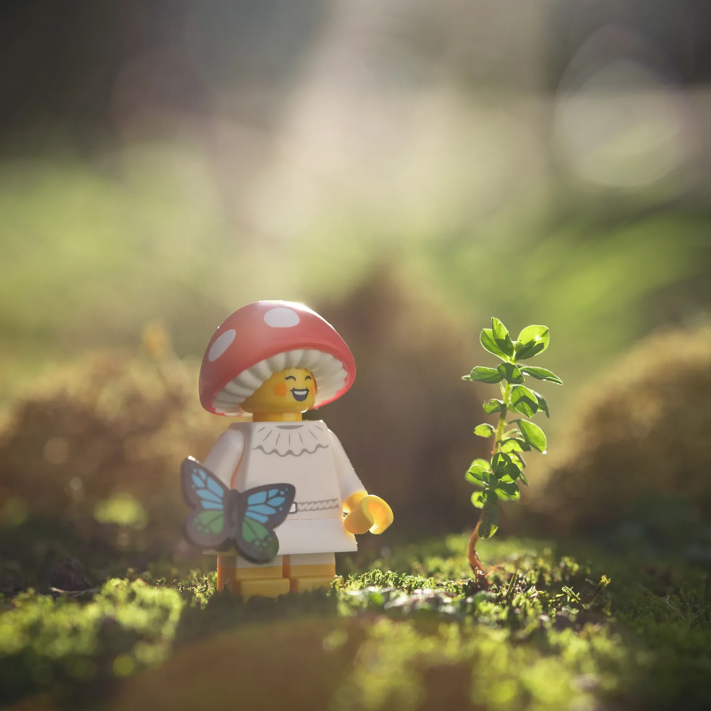 And here's the shot! So glad I spotted that little plant growing....it adds so much to the image!