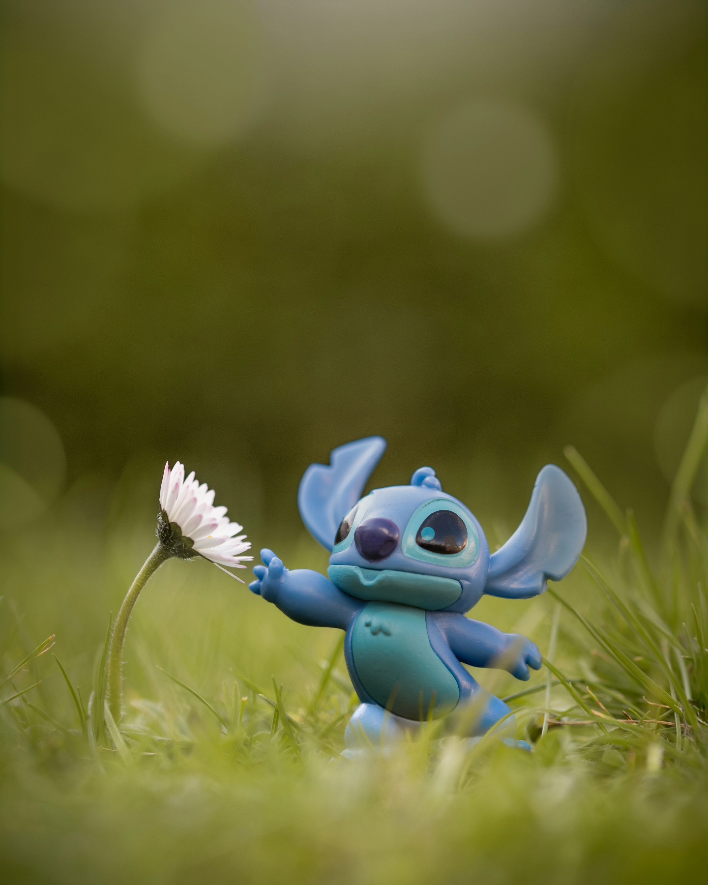 "Spring: a lovely reminder of how beautiful change can truly be." —Unknown