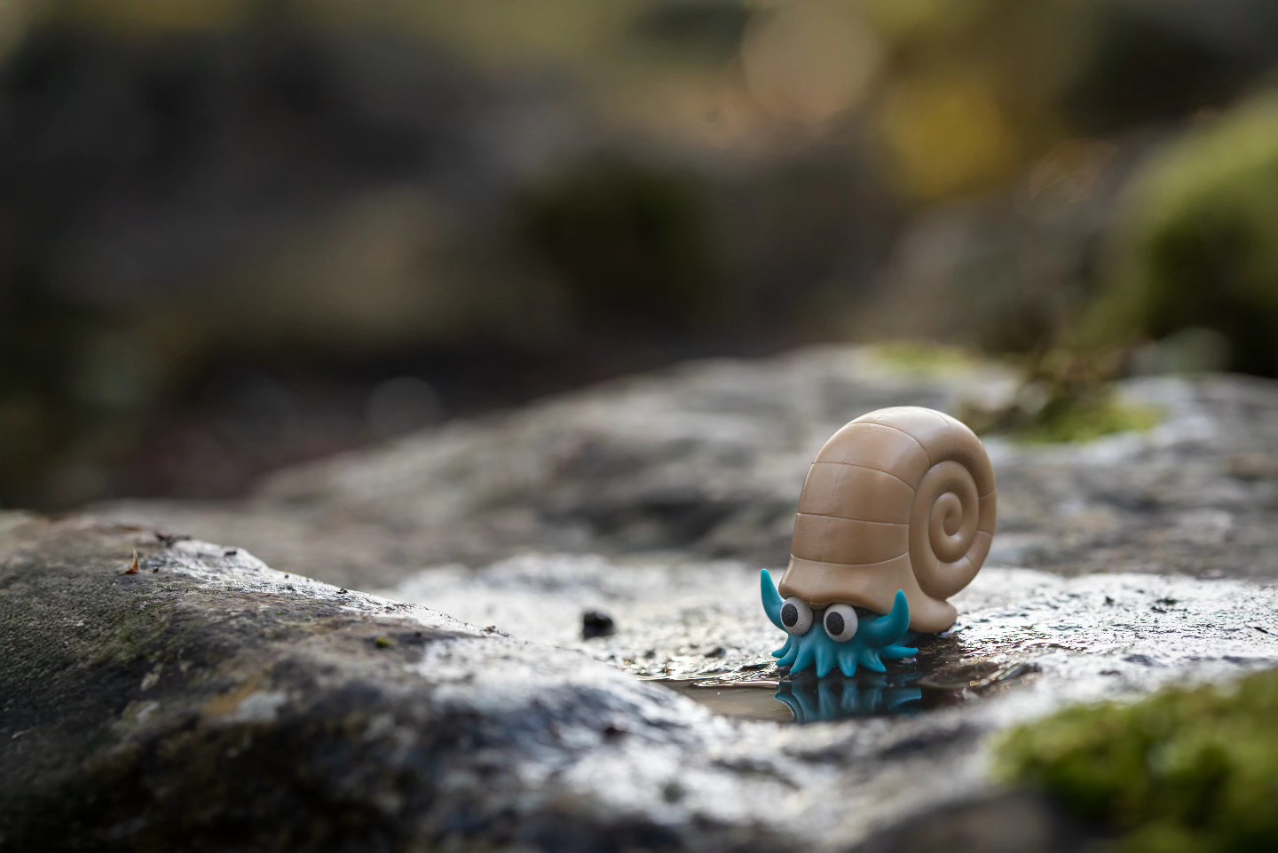 You found an Omanyte slurping on some water!