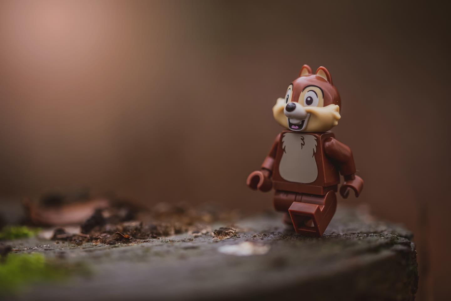 The tallest oak in the forest was once just a little nut that held its ground”