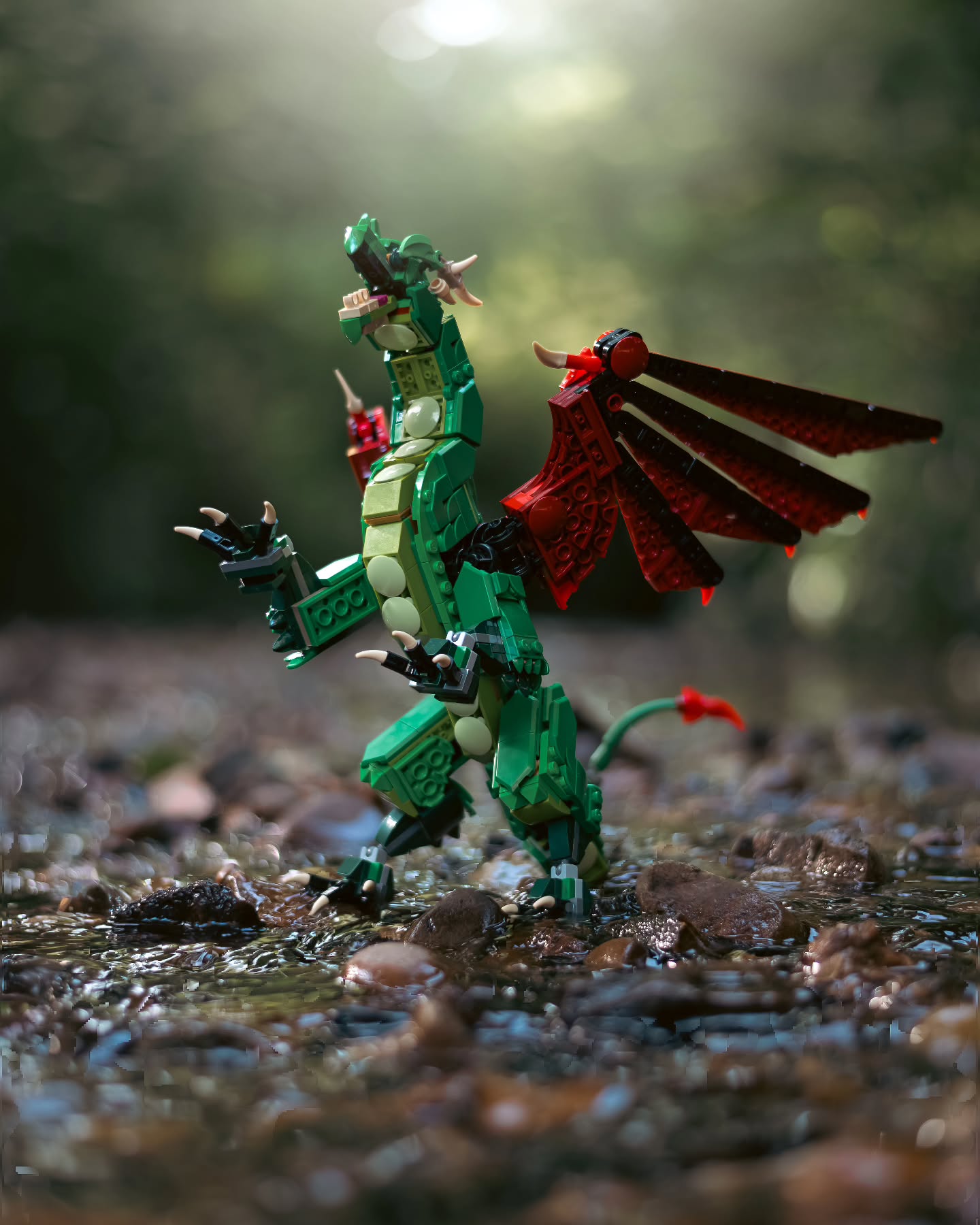 "When it comes to fighting for your dreams, be a dragon.
