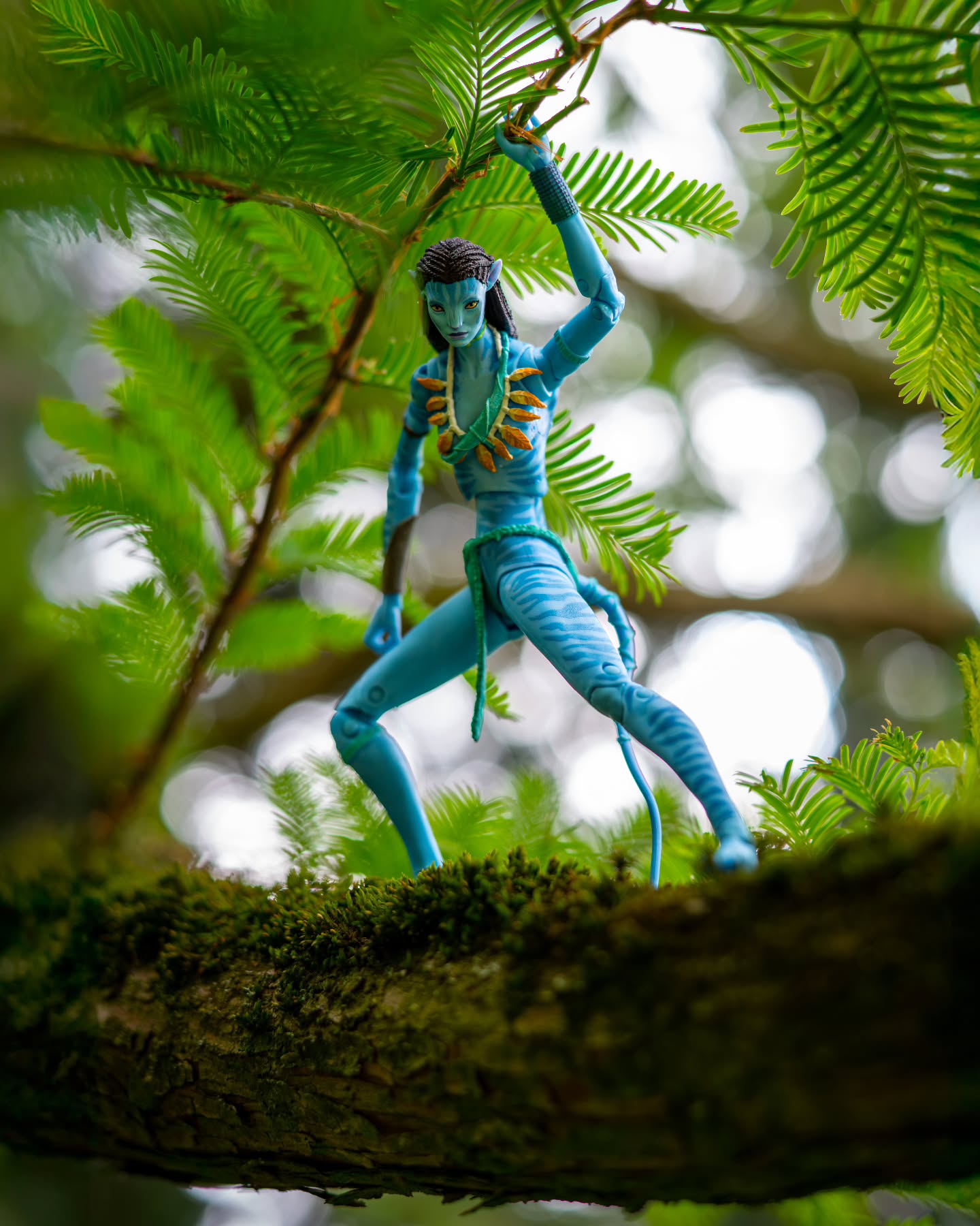 "This is our home!" ~ Neytiri