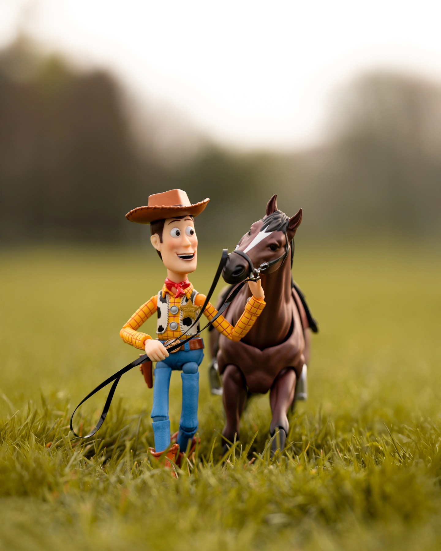 Today we celebrate that 30 years ago Toy Story was released. We celebrate not only a groundbreaking film but a