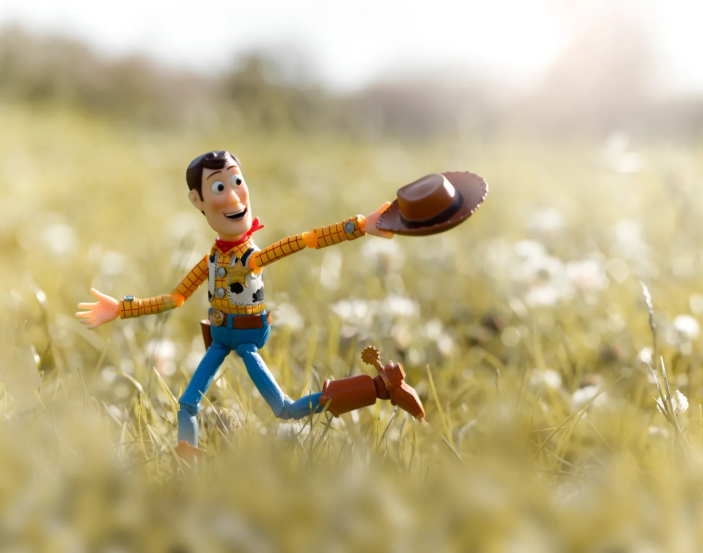 Woody loves to frolick in the meadows