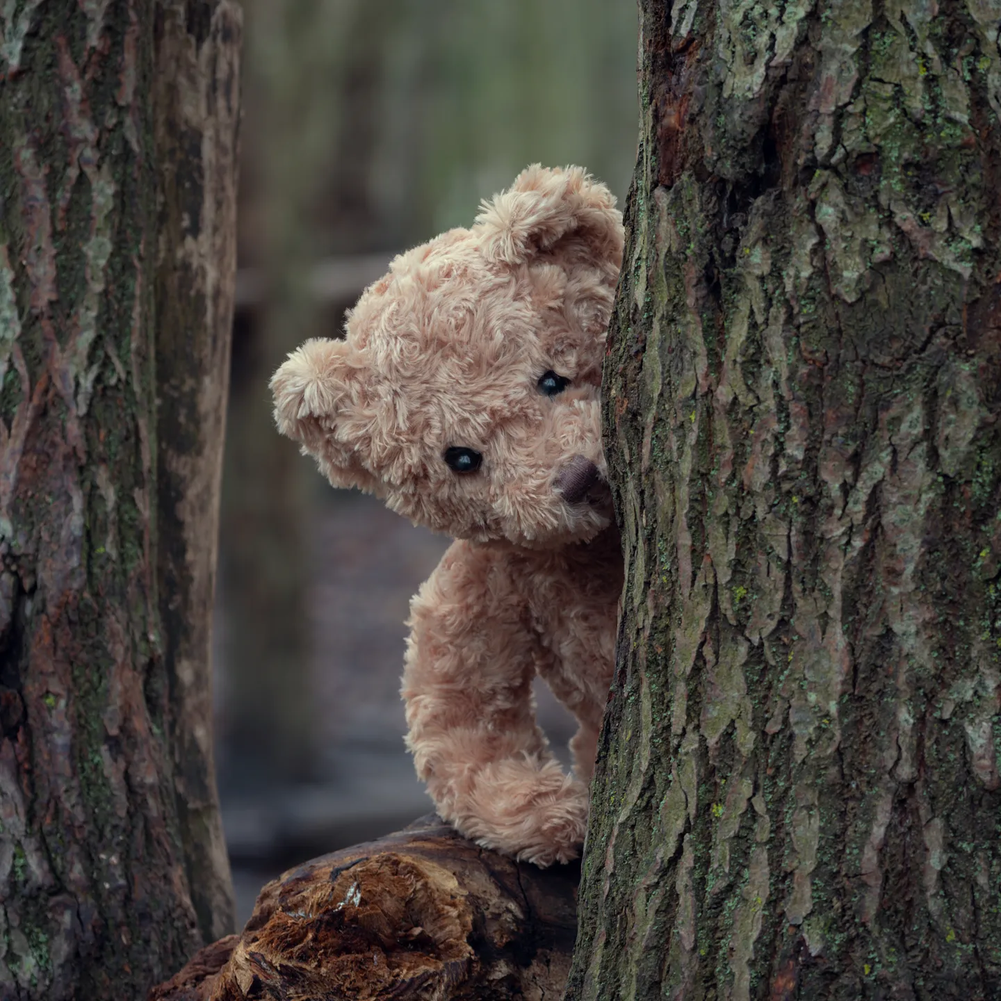 Peek-a-boo......I see you