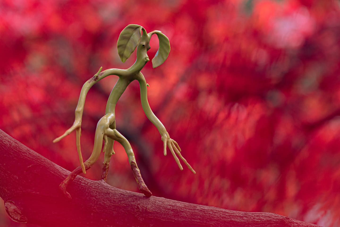 "The Bowtruckle, which eats insects, is a peaceable and intensely shy creature but if the tree in which it liv