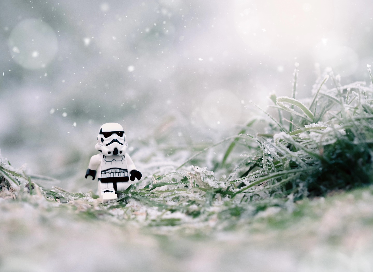Steve the stormtrooper enjoys an early morning walk something magical about a frosty morning isn't there!?