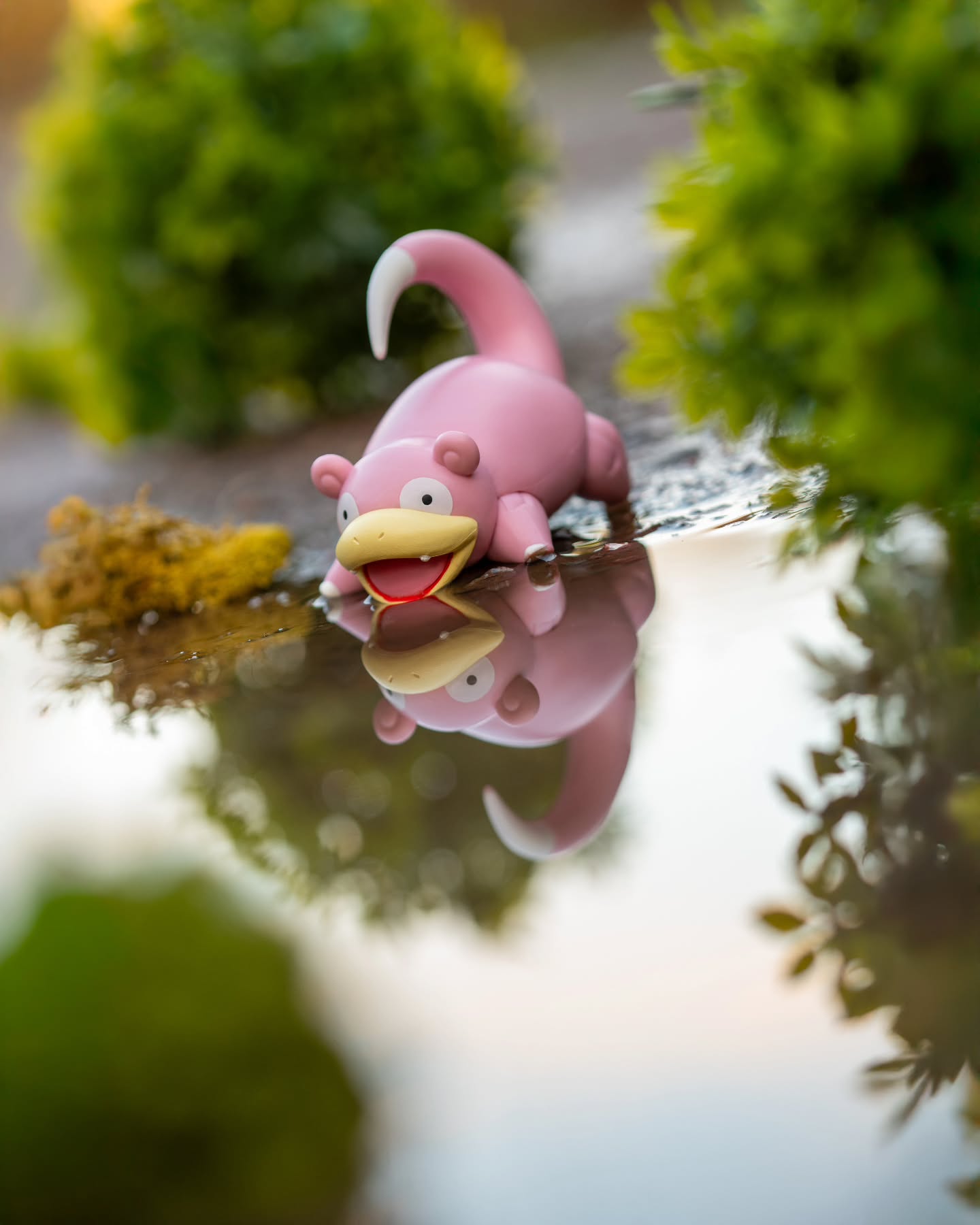 You found a wild Slowpoke!!! Quick catch him whilst its distracted at the watering hole!