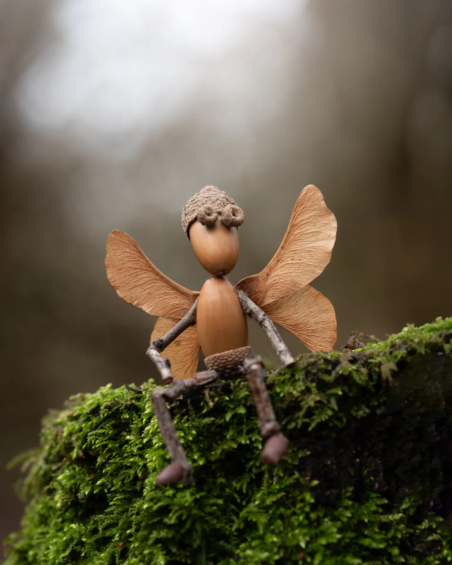 Andy the acorn guy has finally got his wings!