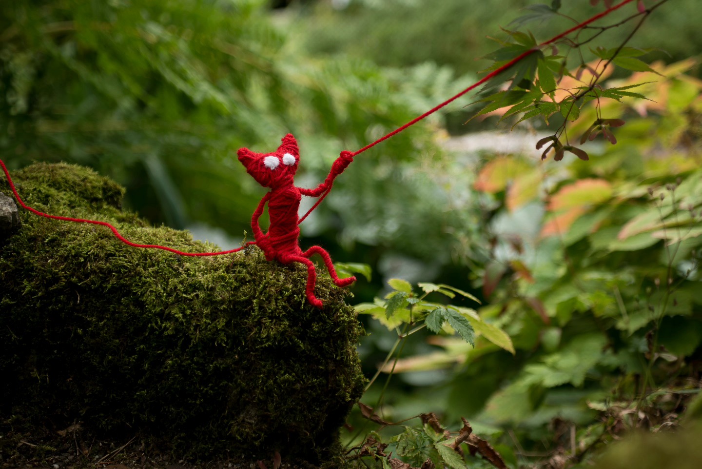 Yarny is off on his adventures again. Another from the mini series of images I shot with the figure I made feo