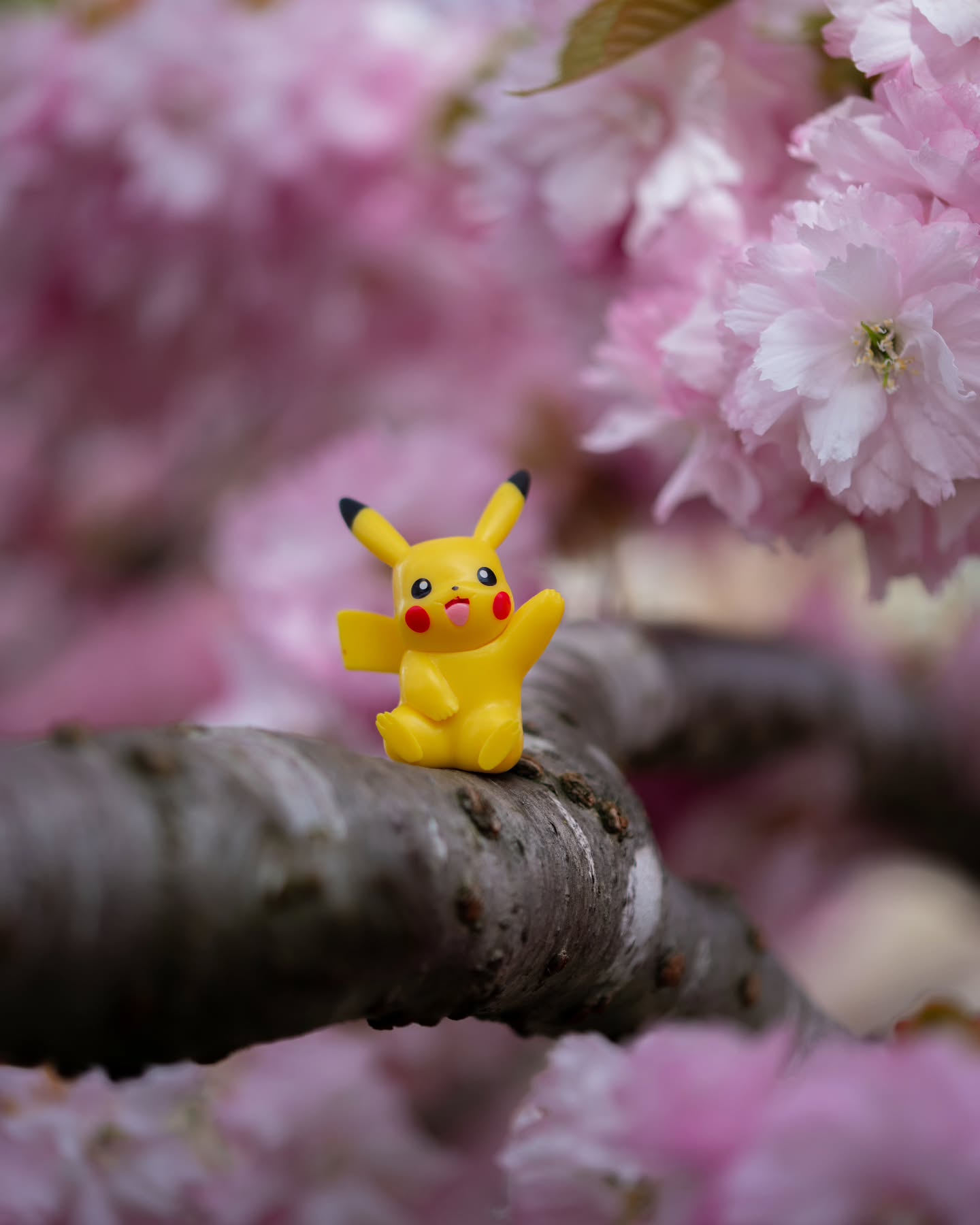 Pikachu is an Electric type Pokémon introduced in Generation 1