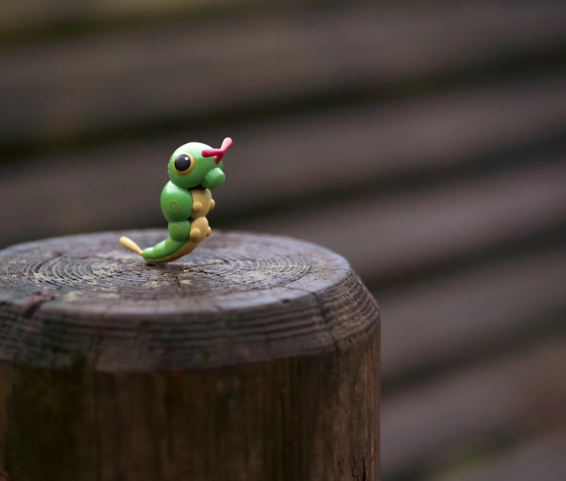 Alright! You found a caterpie! Great start to the year!