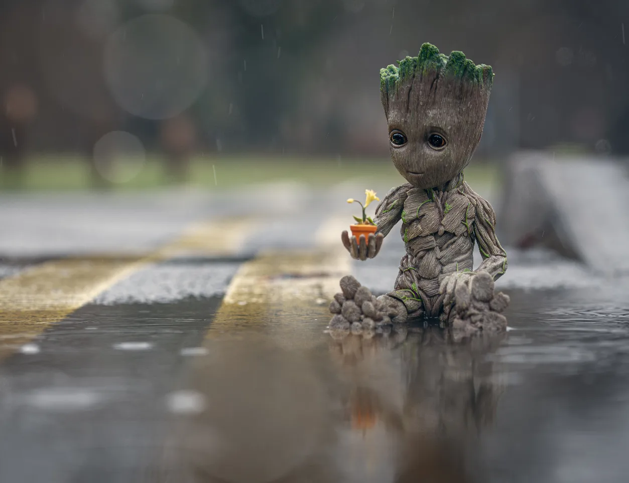 "Be like a flower, survive the rain but use it to grow"