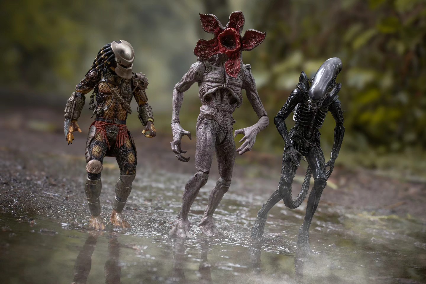 "Come on boys......this is our time to shine!!"