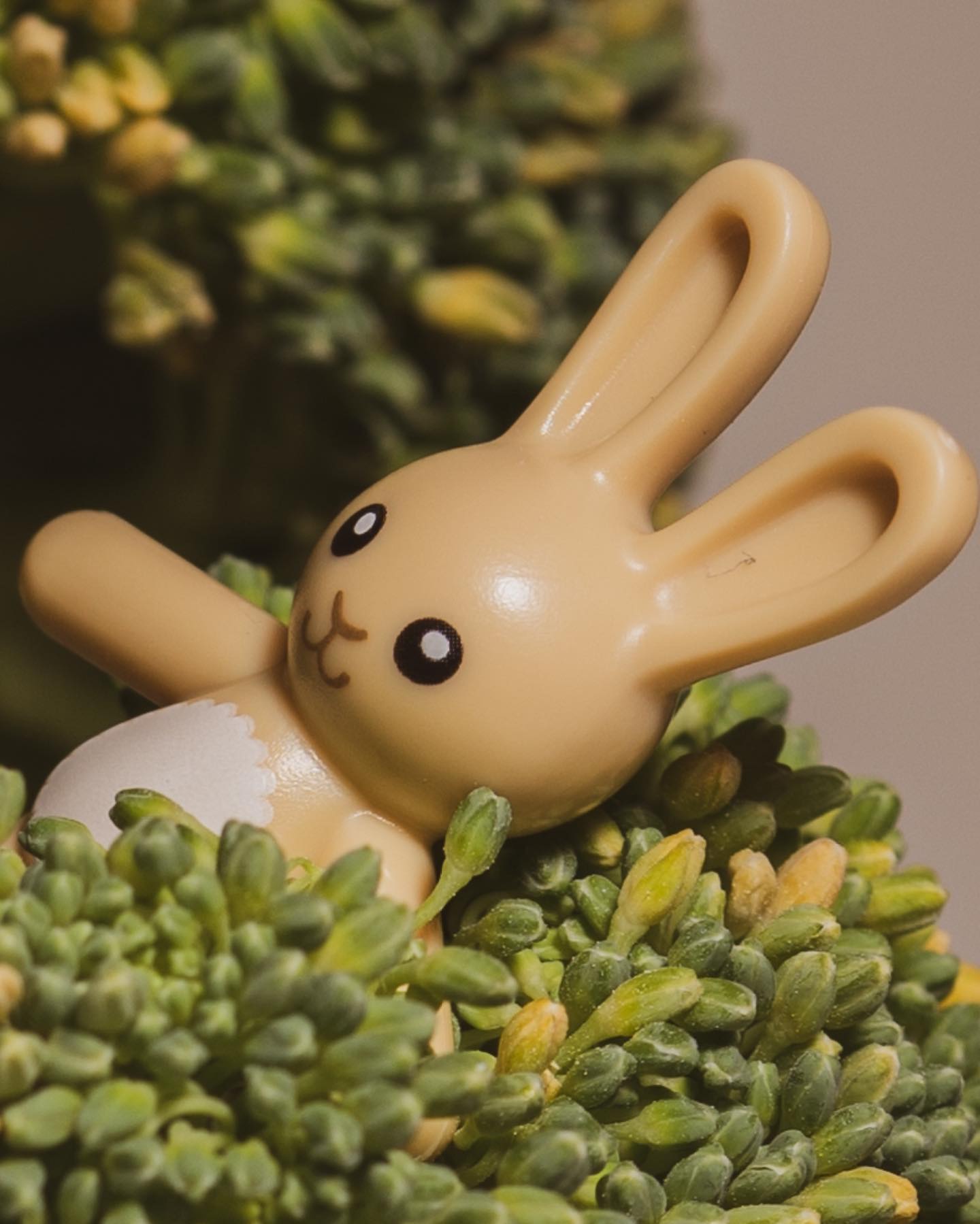 The bunny rescue