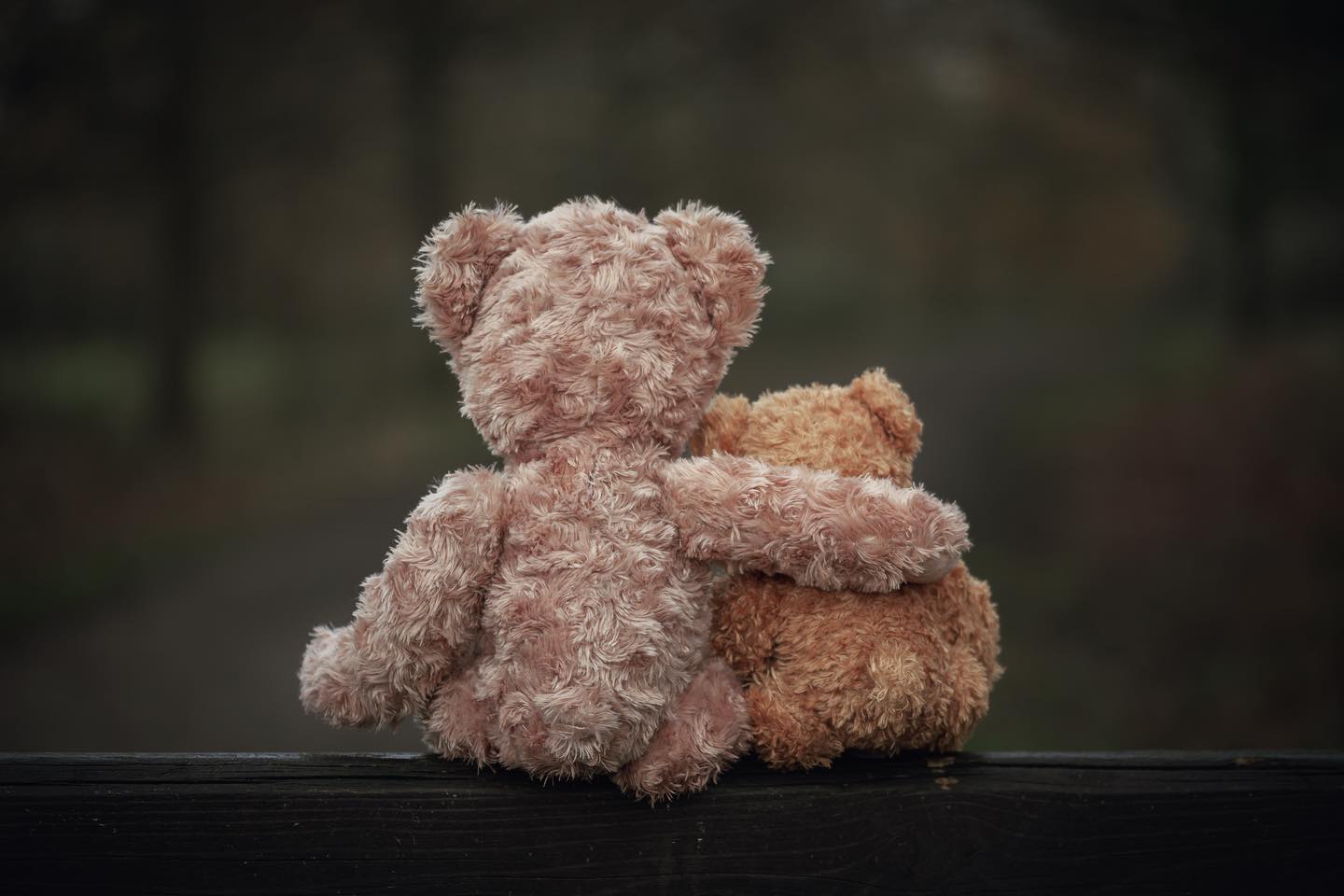 Teddy bear embrace