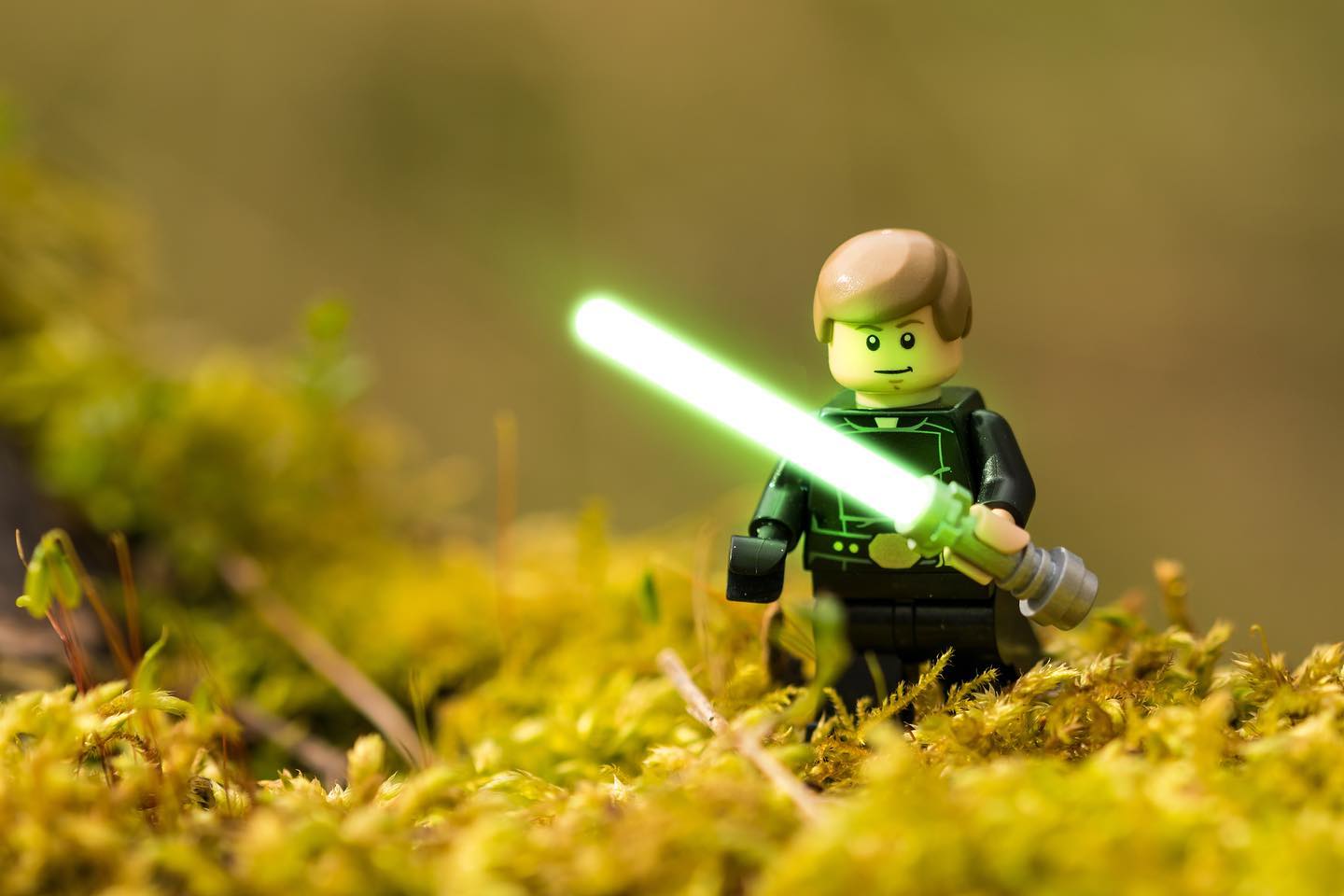 Skywalker training in the woods