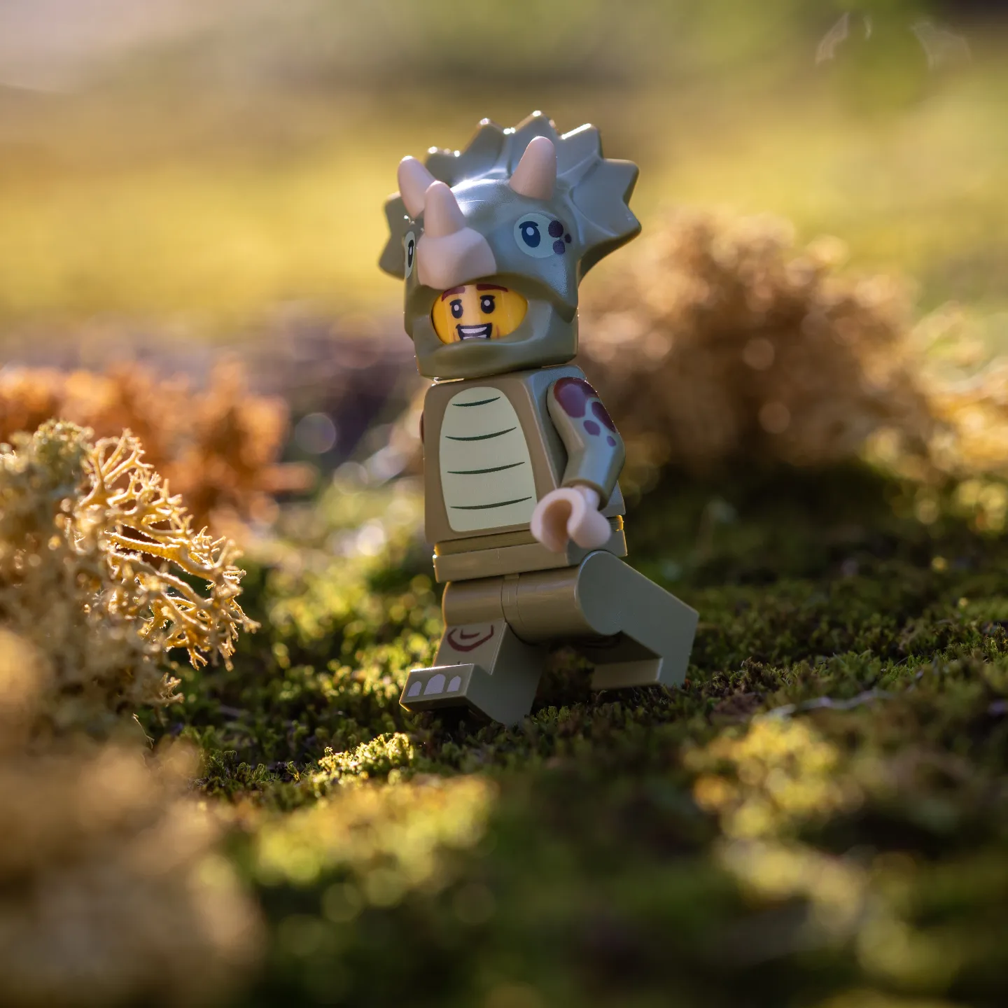 Taking a walk on the wild side!