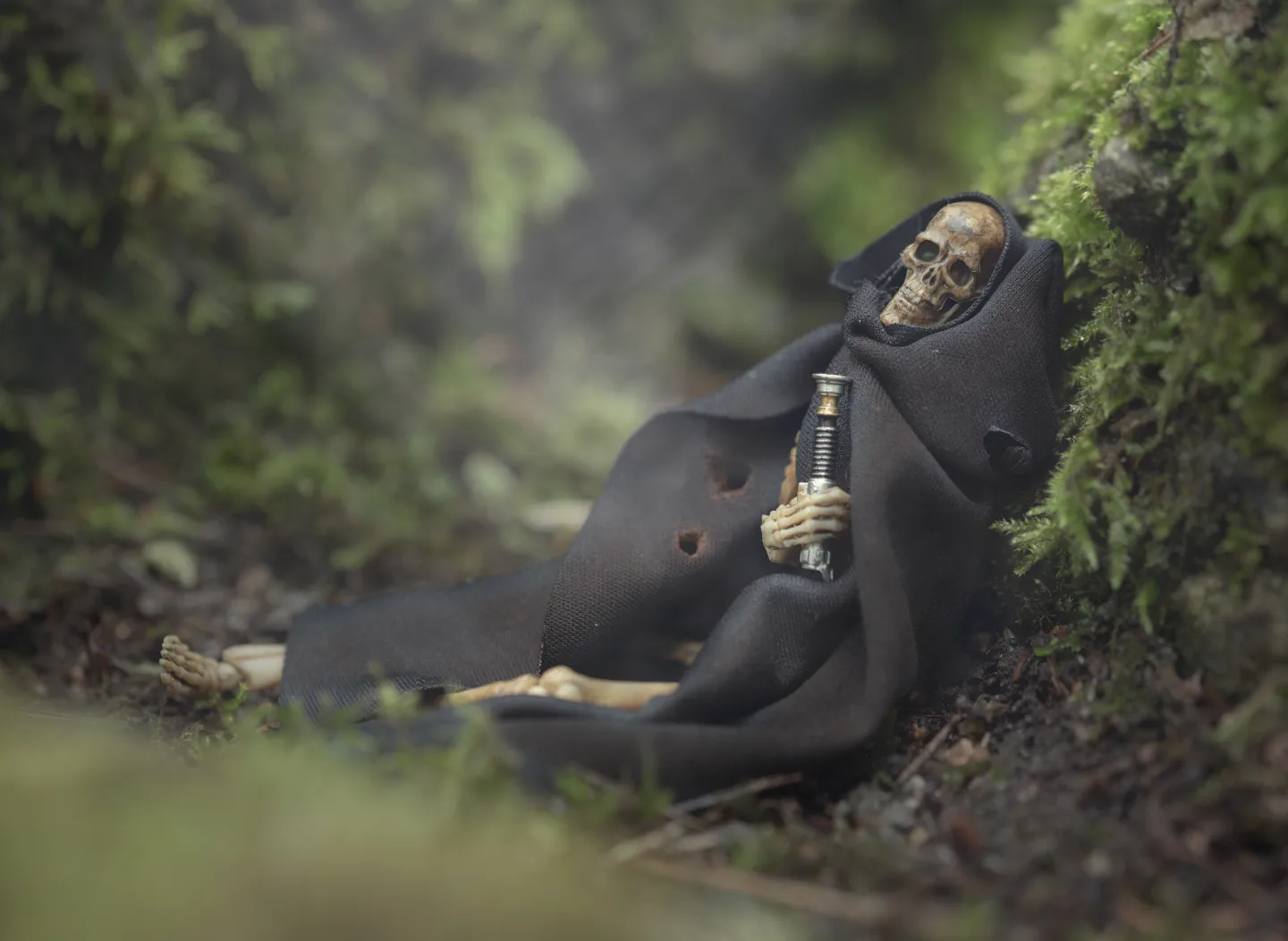 “Death is a natural part of life. Rejoice for those around you who transform into the Force. Mourn them do not