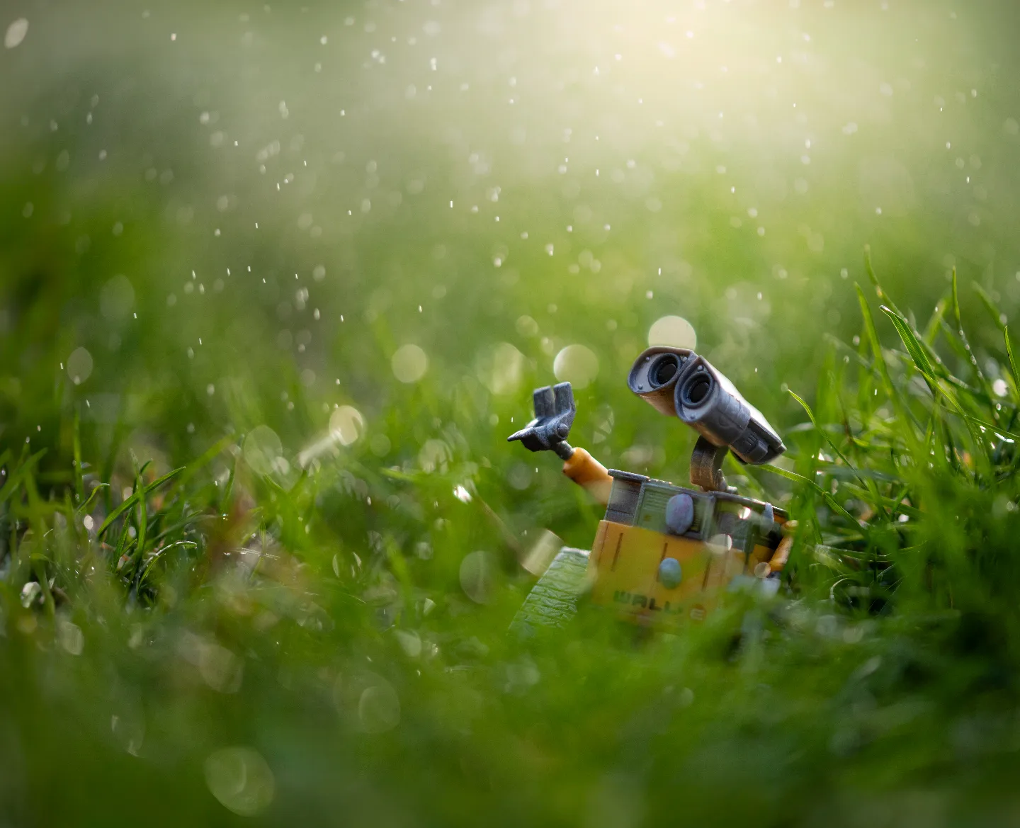 When it rains on your parade, look up rather than down. Without the rain, there would be no rainbow