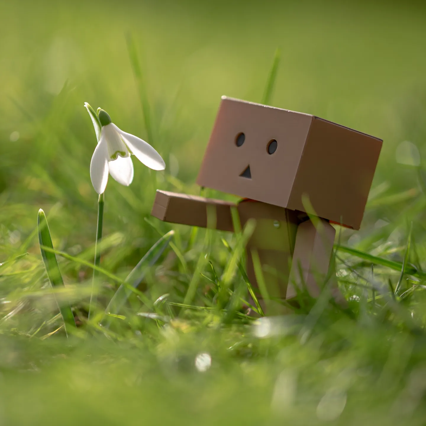 Cardboard Carl enjoying the revels of spring. This was a shot from a while back