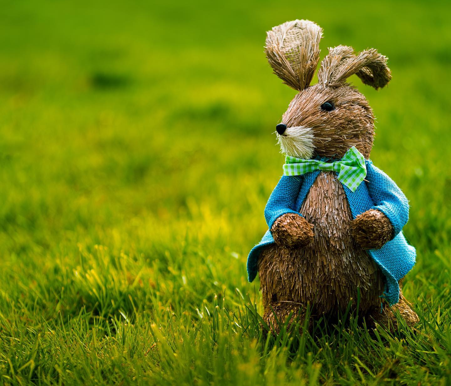 Caught the Easter bunny checking if the coast was clear lol. Not quite a toy but don’t fit in with other accou