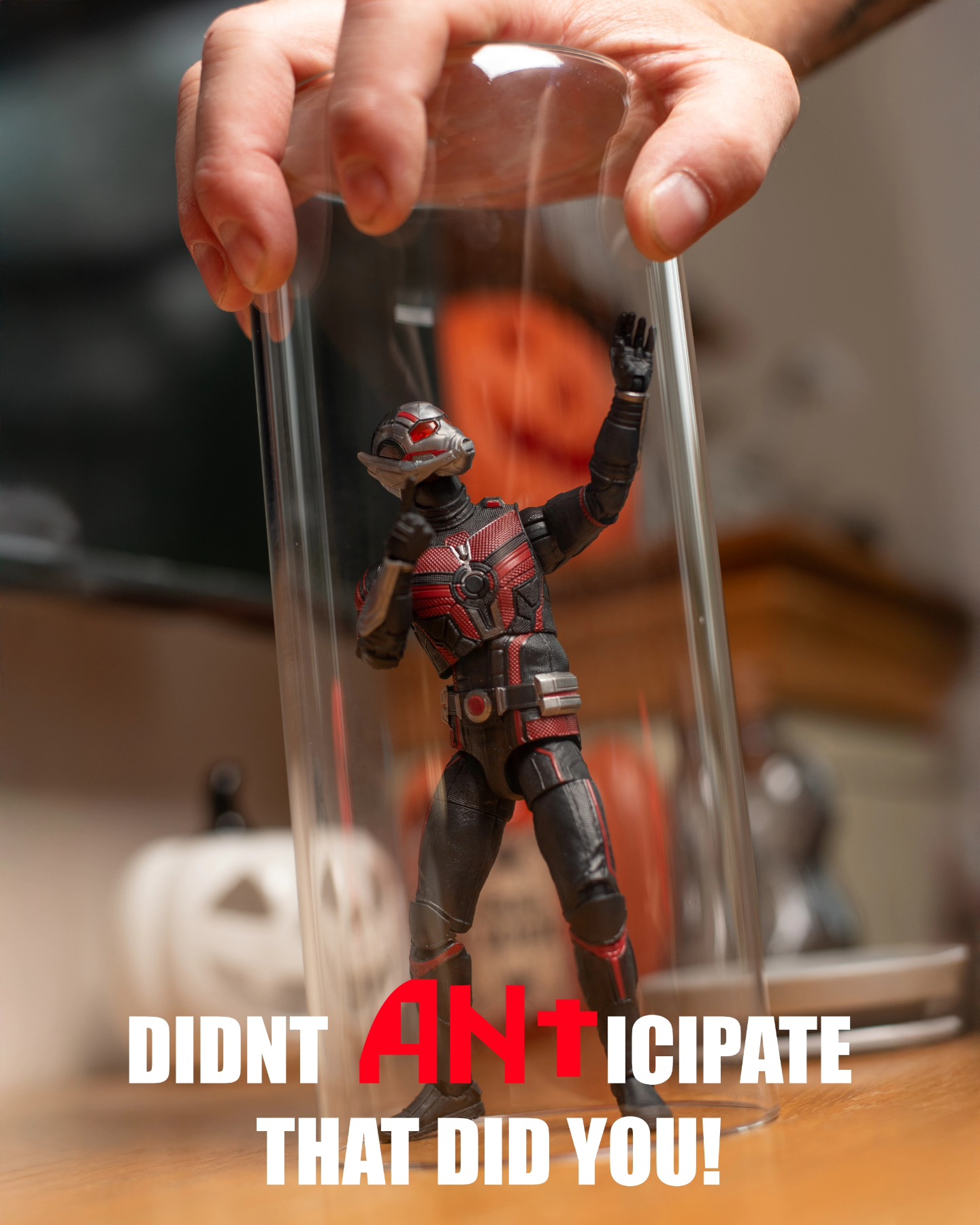 Got ya, you pesky little insect!!