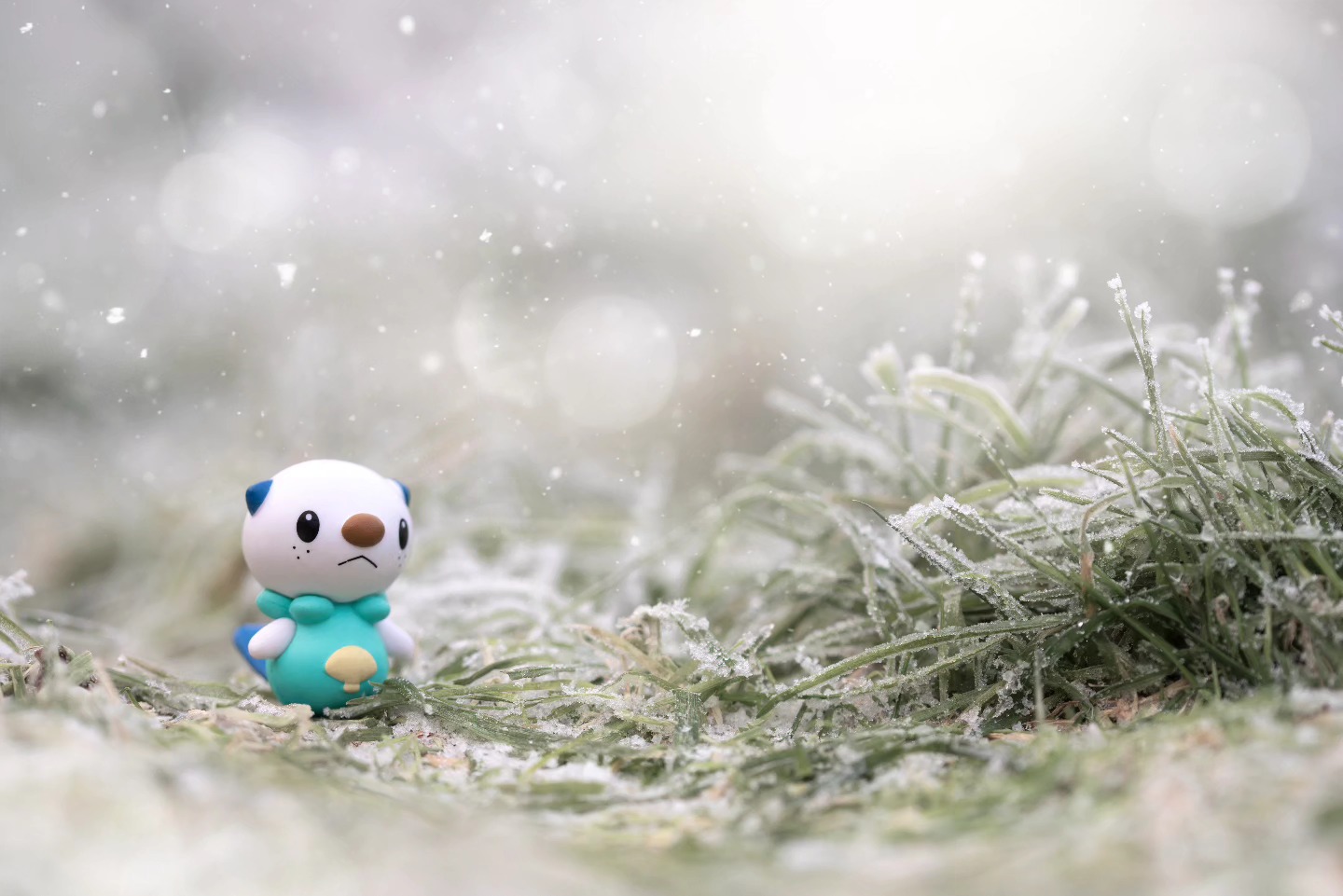 A wild Oshawott appears