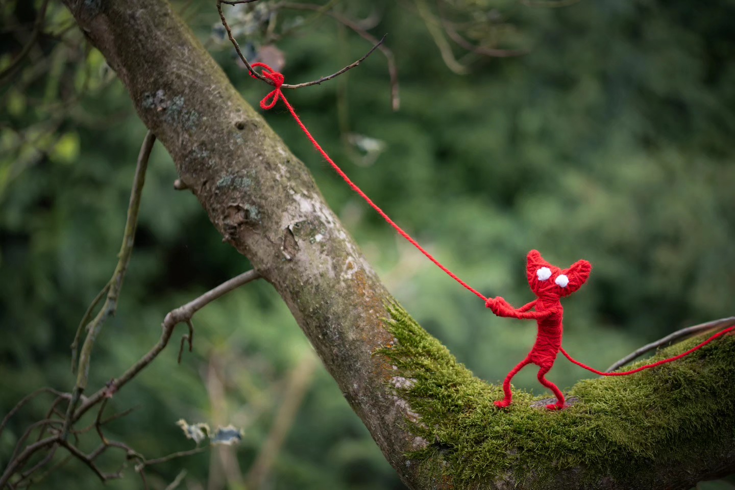 Yarny out on another adventure. I need to remake the figure as he is not starting to fray after all his advent
