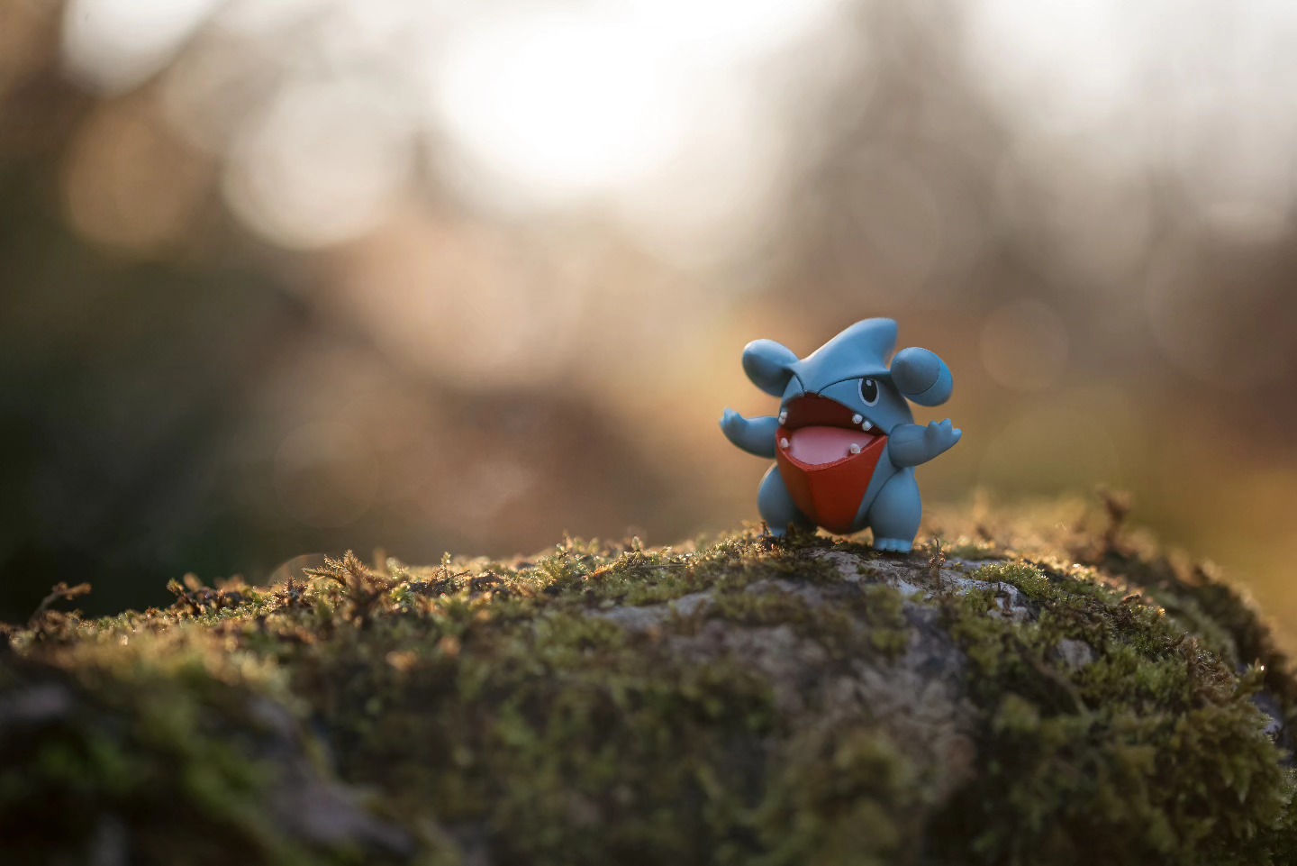 A gible has just appeared!!