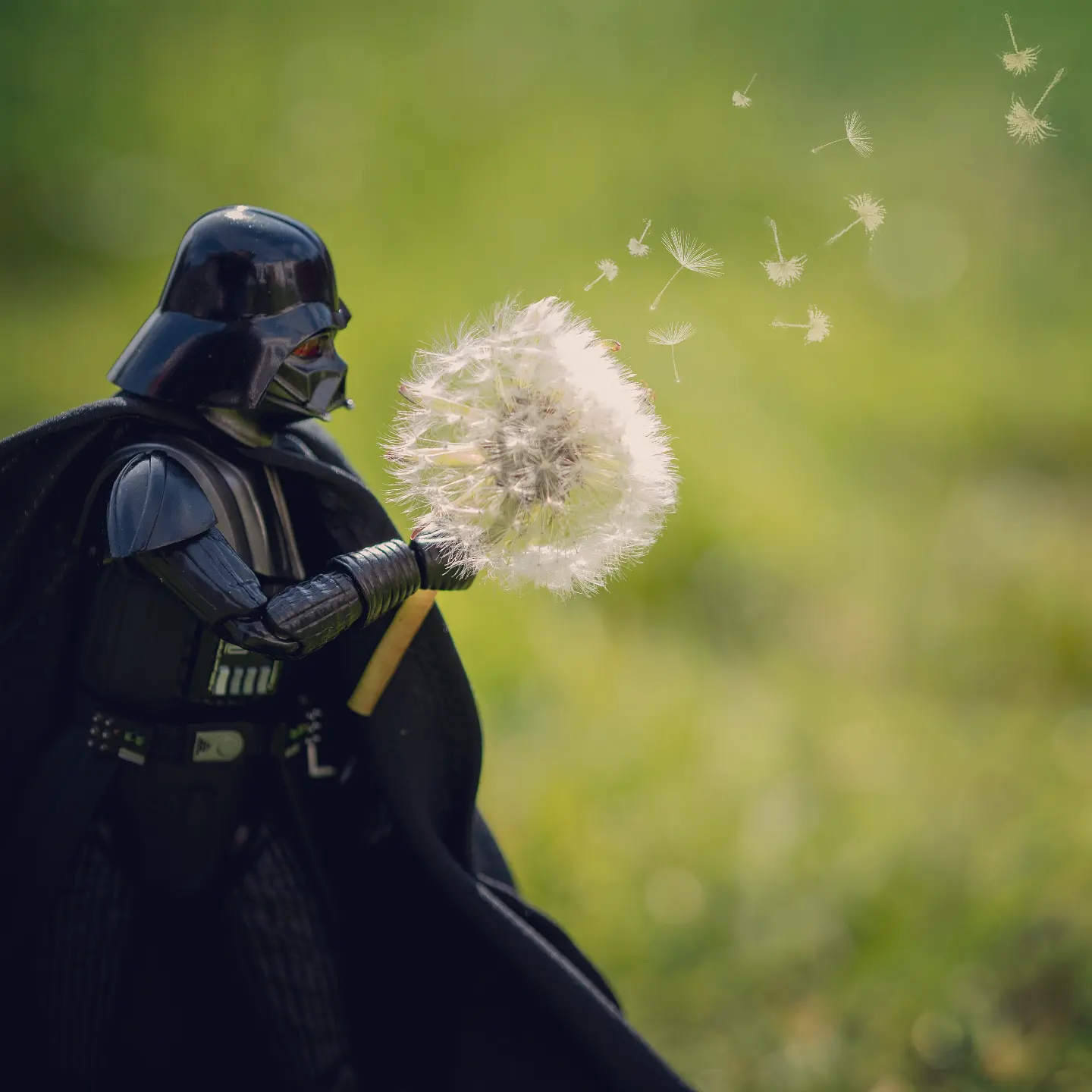 Even the most despicable people take time to enjoy the spring dandelions. Happy May the 4th peeps!